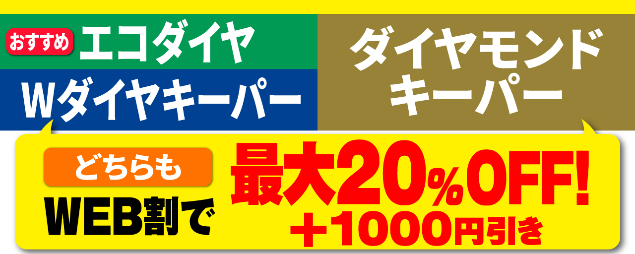 エコダイヤ・Wダイヤキーパー